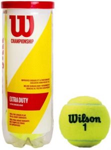 Wilson Champ Extra Duty